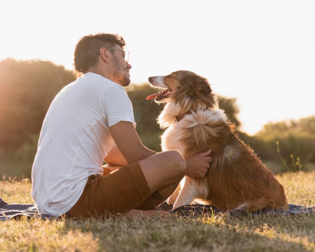  A person and a dog sit on a blanket in a sunlit field, enjoying a moment of connection and companionship.