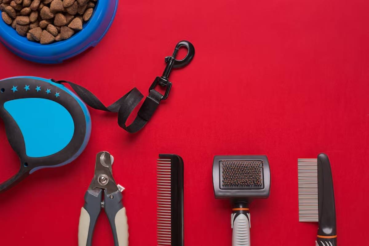 A pet care setup with a blue food bowl of kibble, a retractable leash, nail clippers, and various grooming combs on a red background.