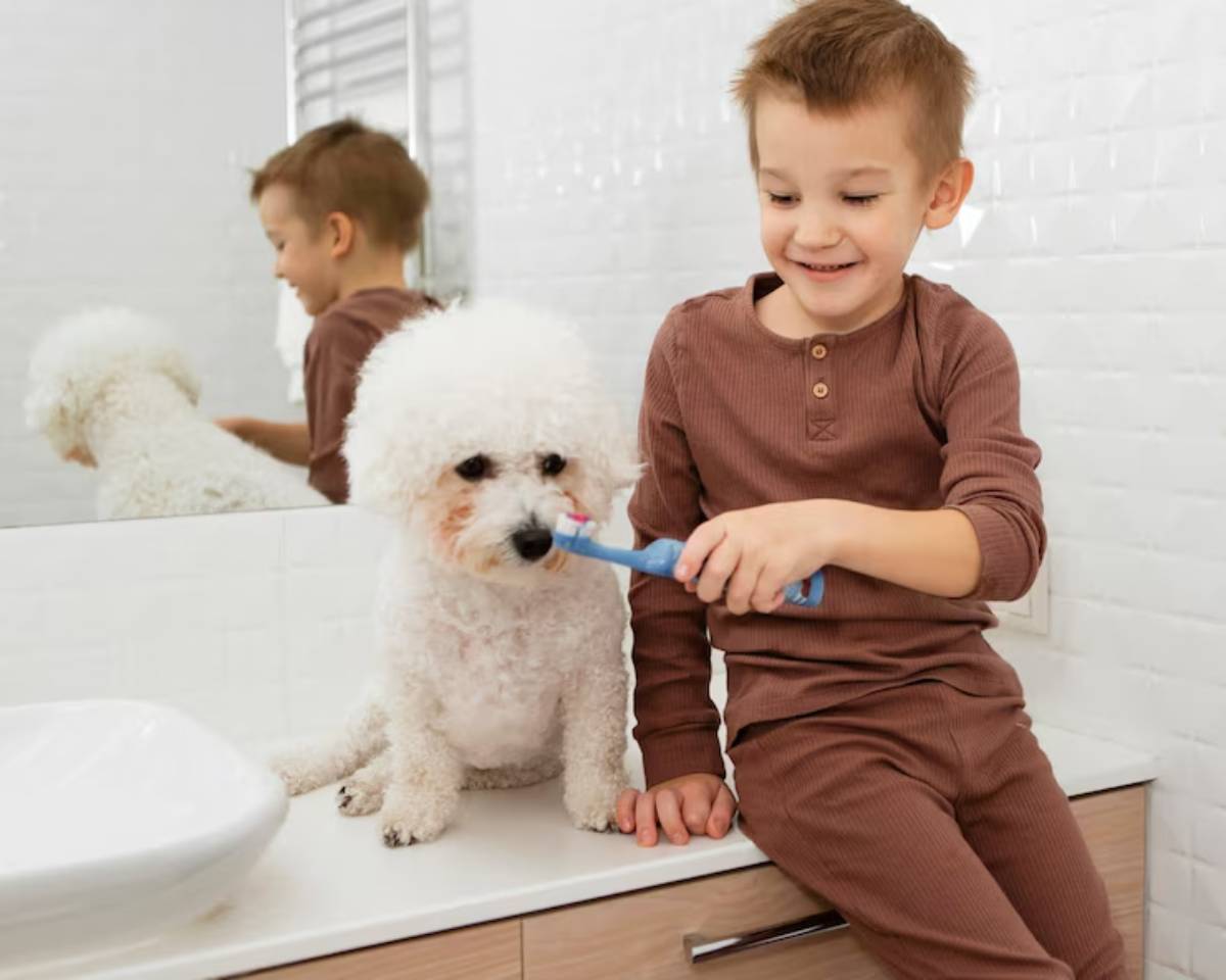  A child in brown attire gently brushes a fluffy white dog’s teeth in a cozy bathroom setting.