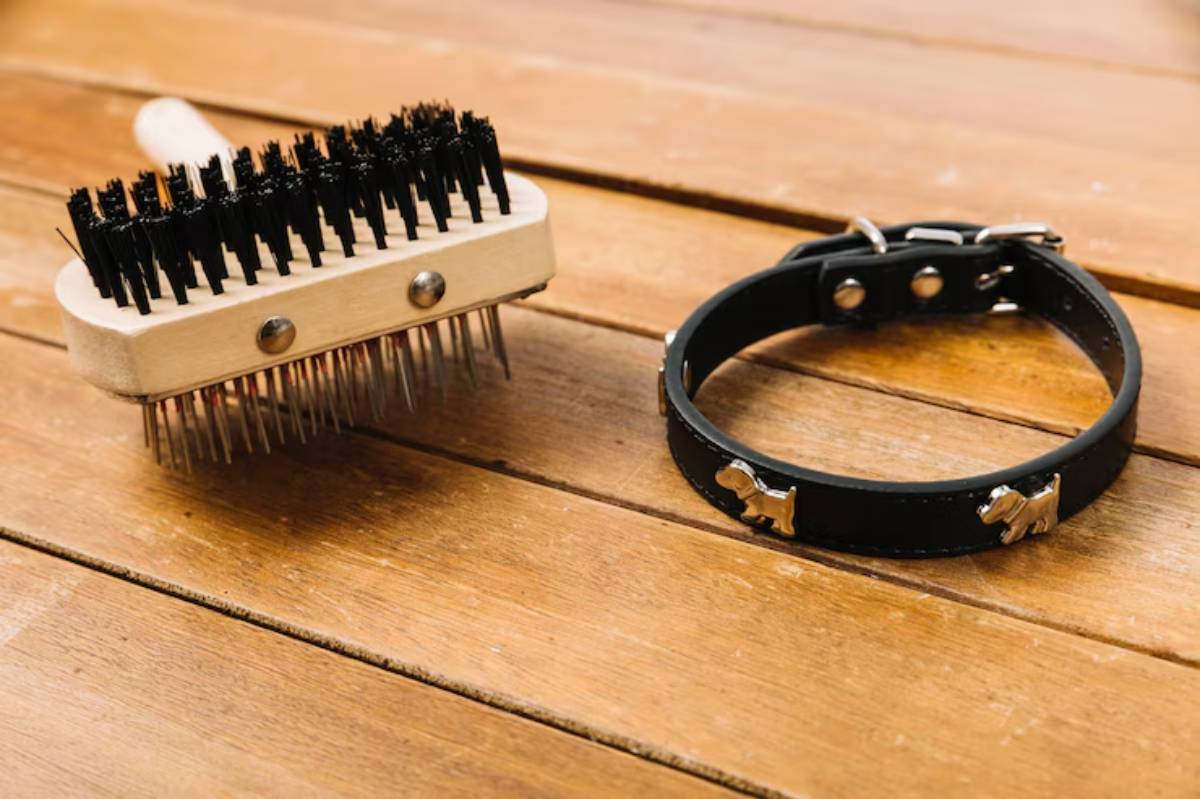 A grooming brush and a black dog collar with metal dog-shaped charms, resting on a wooden surface.