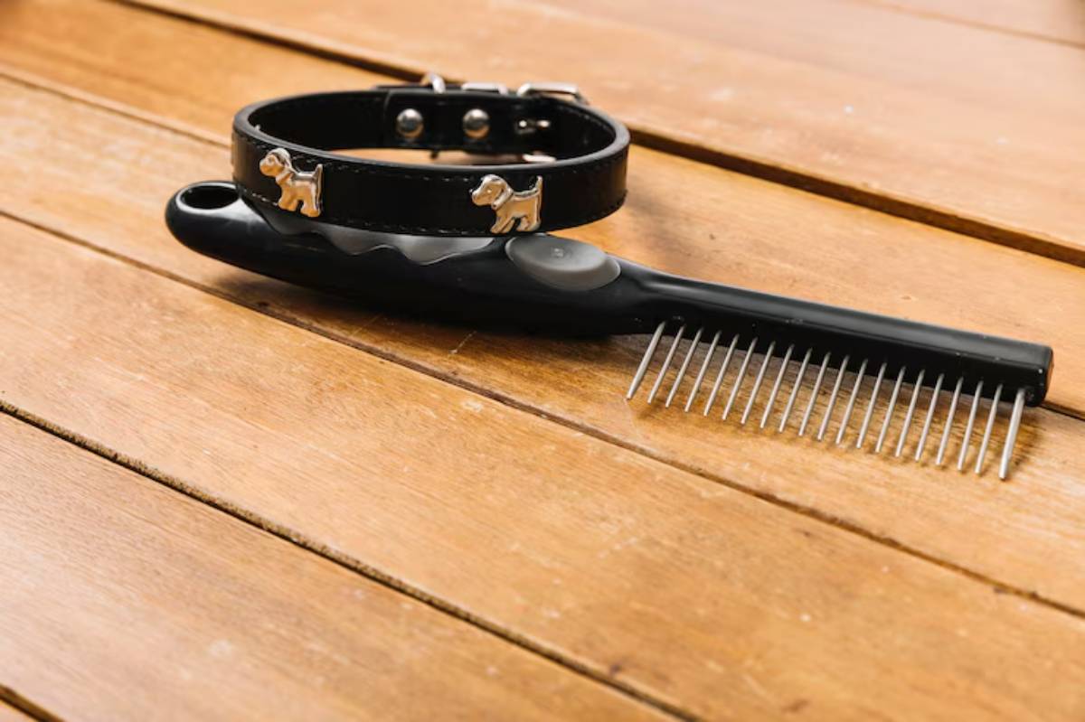 A black dog collar with silver dog charms and a black grooming comb laying on a wooden surface.
