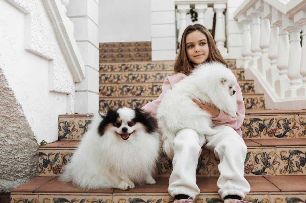  A person sits on tiled steps, holding a fluffy white dog, while a playful black-and-white dog sits beside them, all in a bright setting.