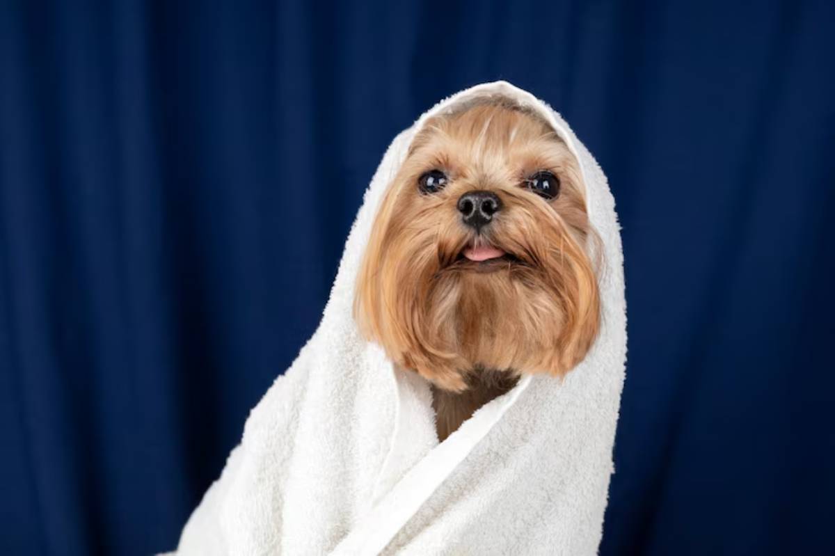 A person wrapped in a soft white towel, set against a deep blue backdrop, exuding a cozy and calm vibe.