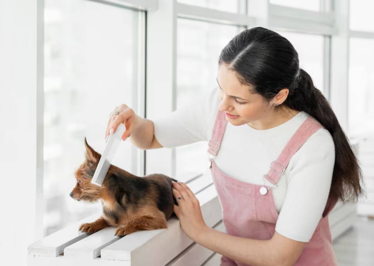 A person gently combs the fur of a small dog while sitting on a white bench near a large window with natural light.