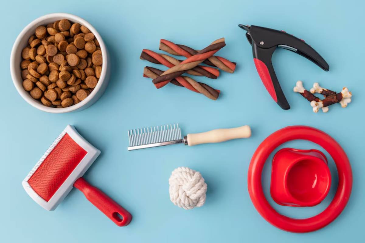 A collection of dog supplies on a blue background: kibble, treats, grooming tools, a toy, and feeding bowls.