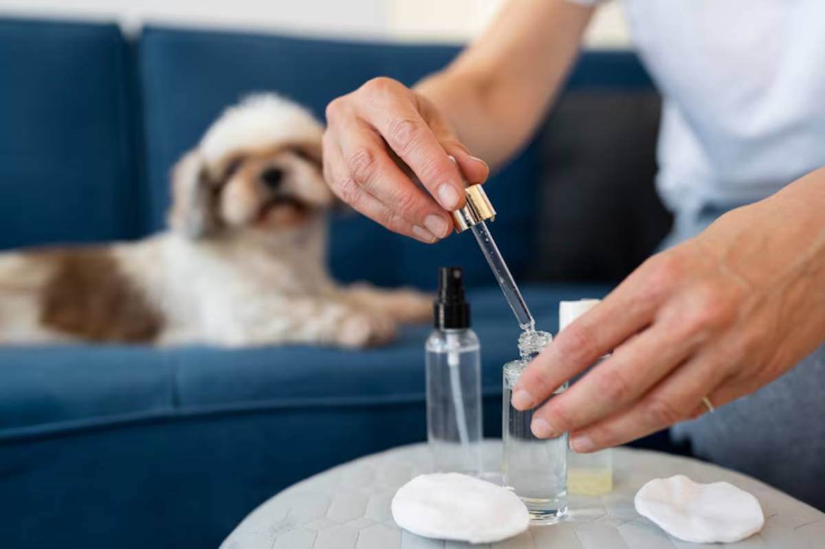 A person uses a dropper to transfer liquid from a small bottle while a dog sits calmly on a couch nearby.