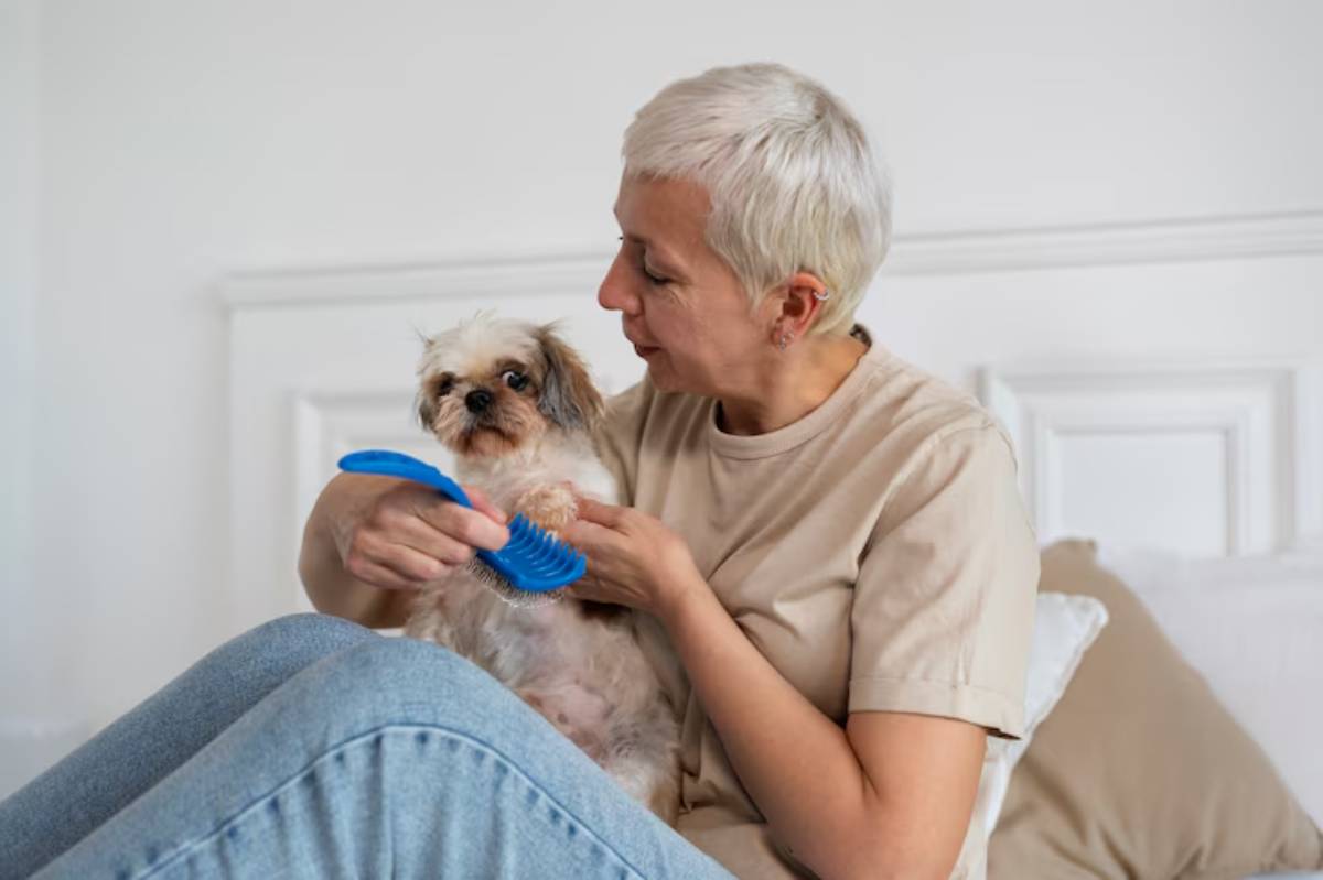 A woman brushes a small, fluffy dog while sitting on a bed, surrounded by soft pillows and a neutral-colored aesthetic. 