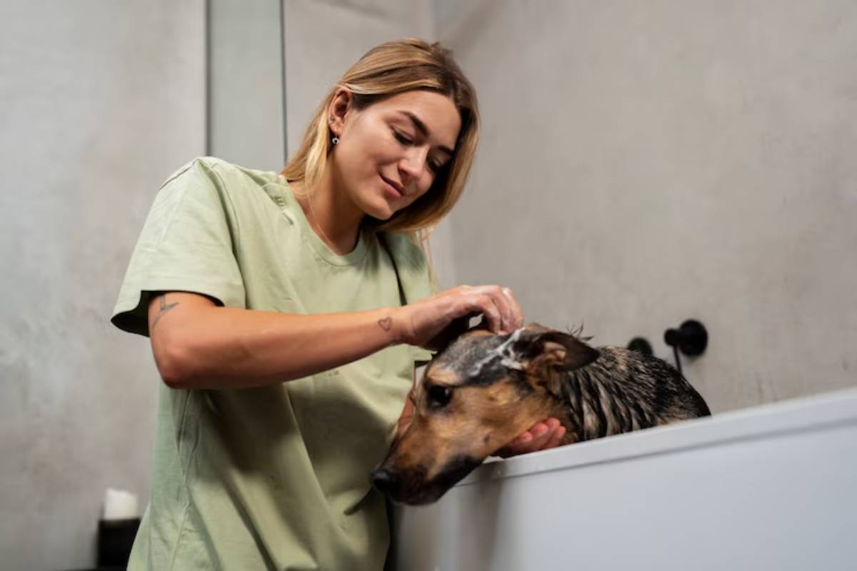 A person gently washes a dog's head in a modern bathtub, surrounded by neutral-toned walls and minimal decor.