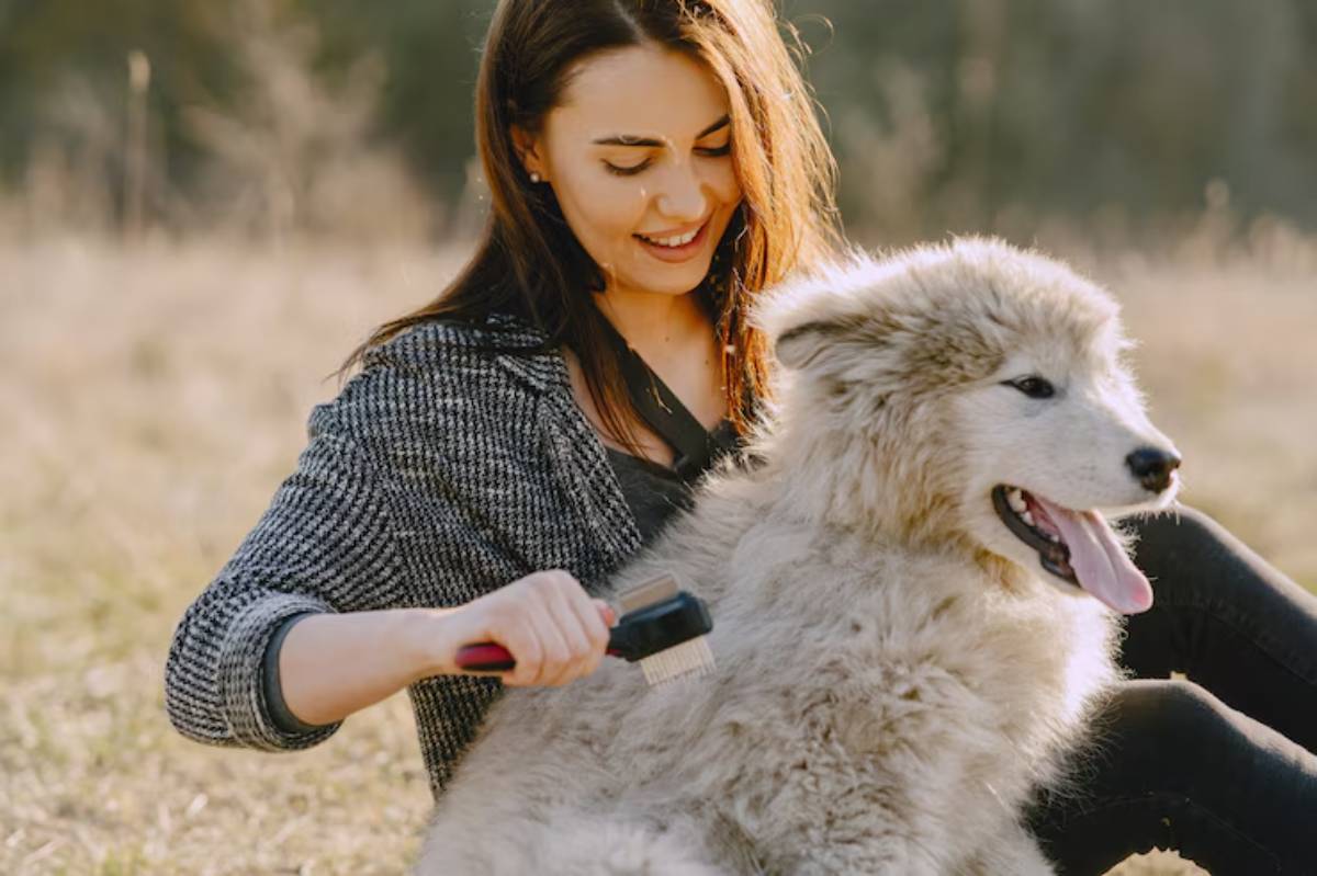 A woman brushes the fur of a fluffy, light-colored dog while sitting in a sunlit, grassy field.