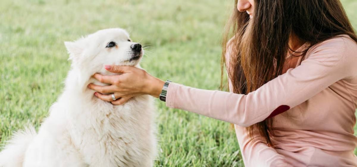 A woman gently pets a fluffy white dog outdoors, sharing a tender moment on the green grass. Their bond is evident in their expressions. 