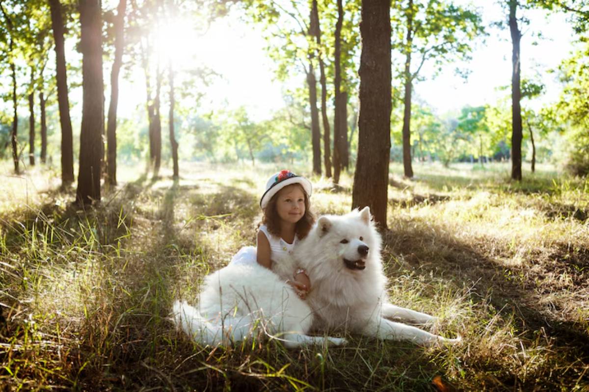  A cheerful child in a white dress sits with a fluffy white Samoyed dog in a sunlit forest, surrounded by green trees and grass.